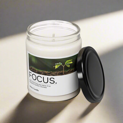 Focus Relax Candle – Natural Soy Wax | Enhance Concentration & Clarity